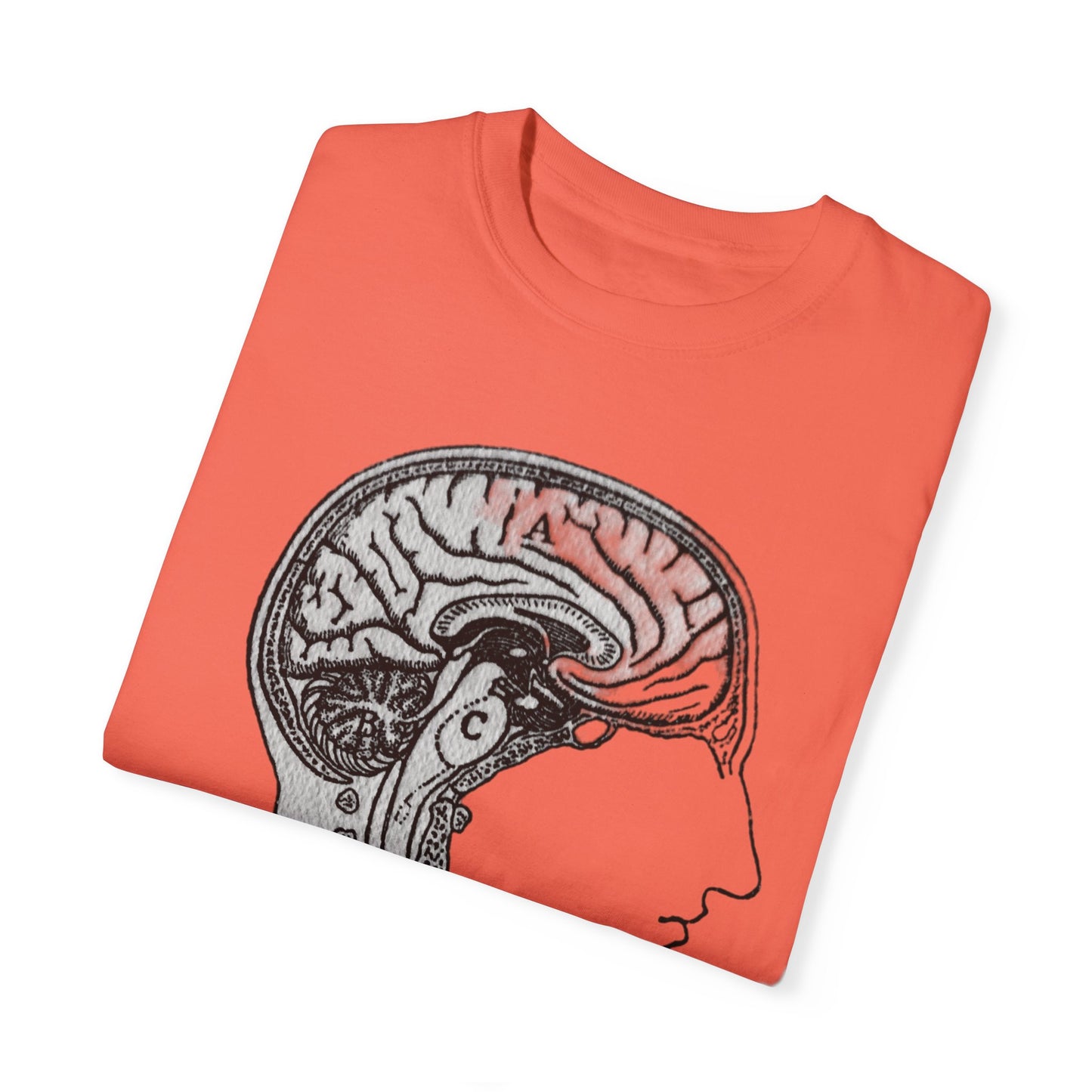 Anatomy Head Brain Spinal Cord Unisex T-shirt